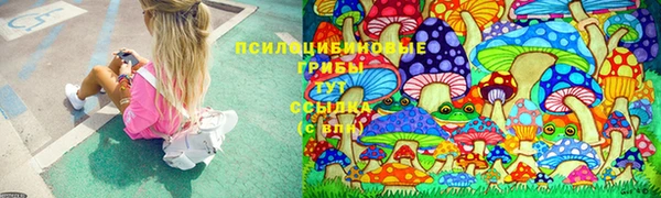 ешки Заводоуковск