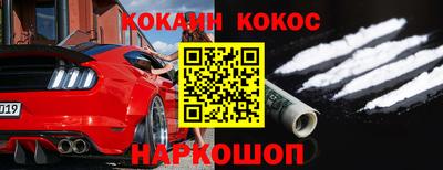 шишки Кингисепп