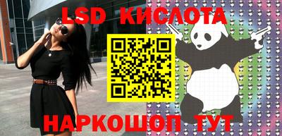 эйфоретик Кимры