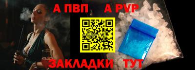 шишки Кингисепп
