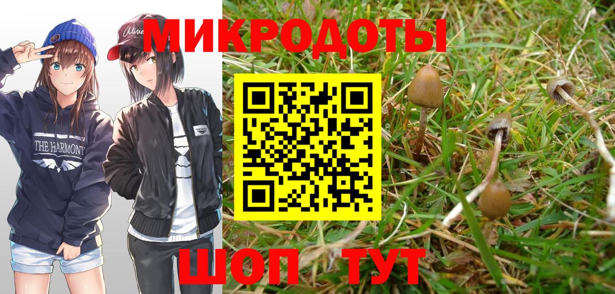 Галлюциногенные грибы ЛСД Качканар