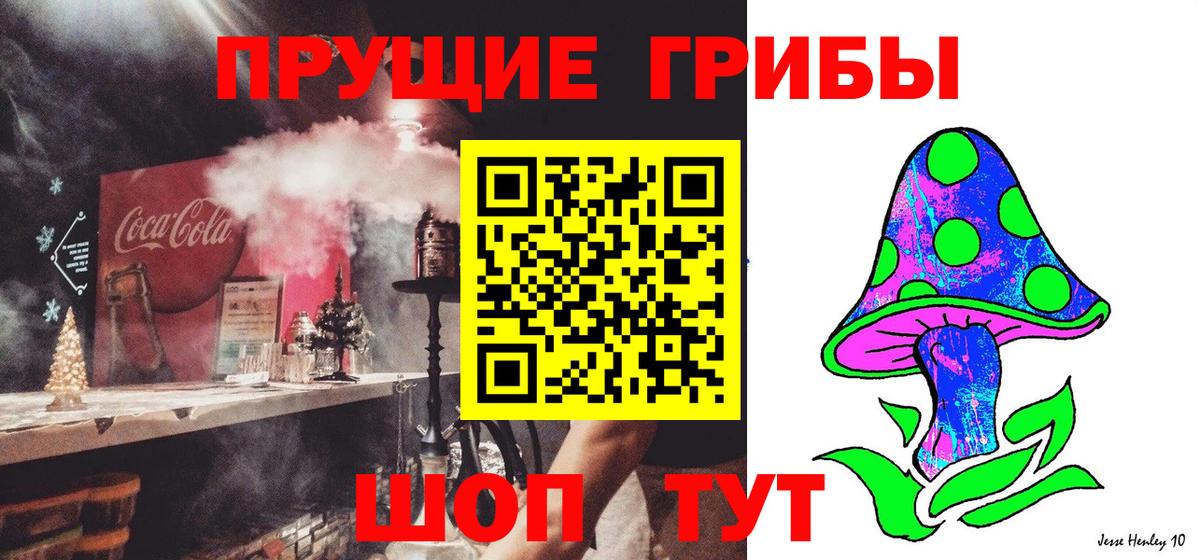 Качканар  Псилоцибиновые грибы Psilocybe  Вход с VPN 
